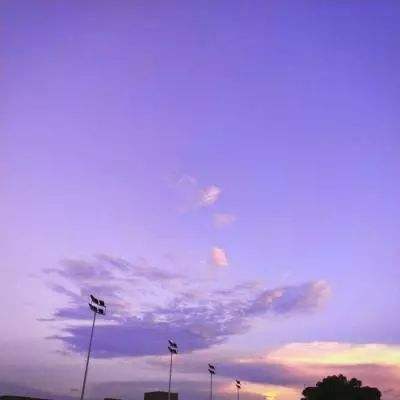 永乐国际手机app下载